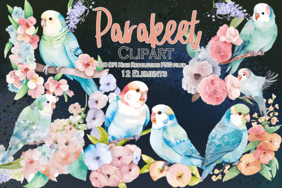 Parakeet Birds Watercolor Clipart
