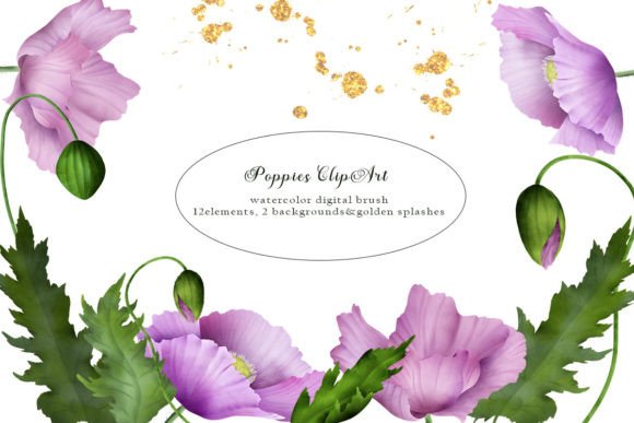 Poppy Watercolor Clipart, PNG: Elevating Your Creative Projects with Hand-Drawn Elegance